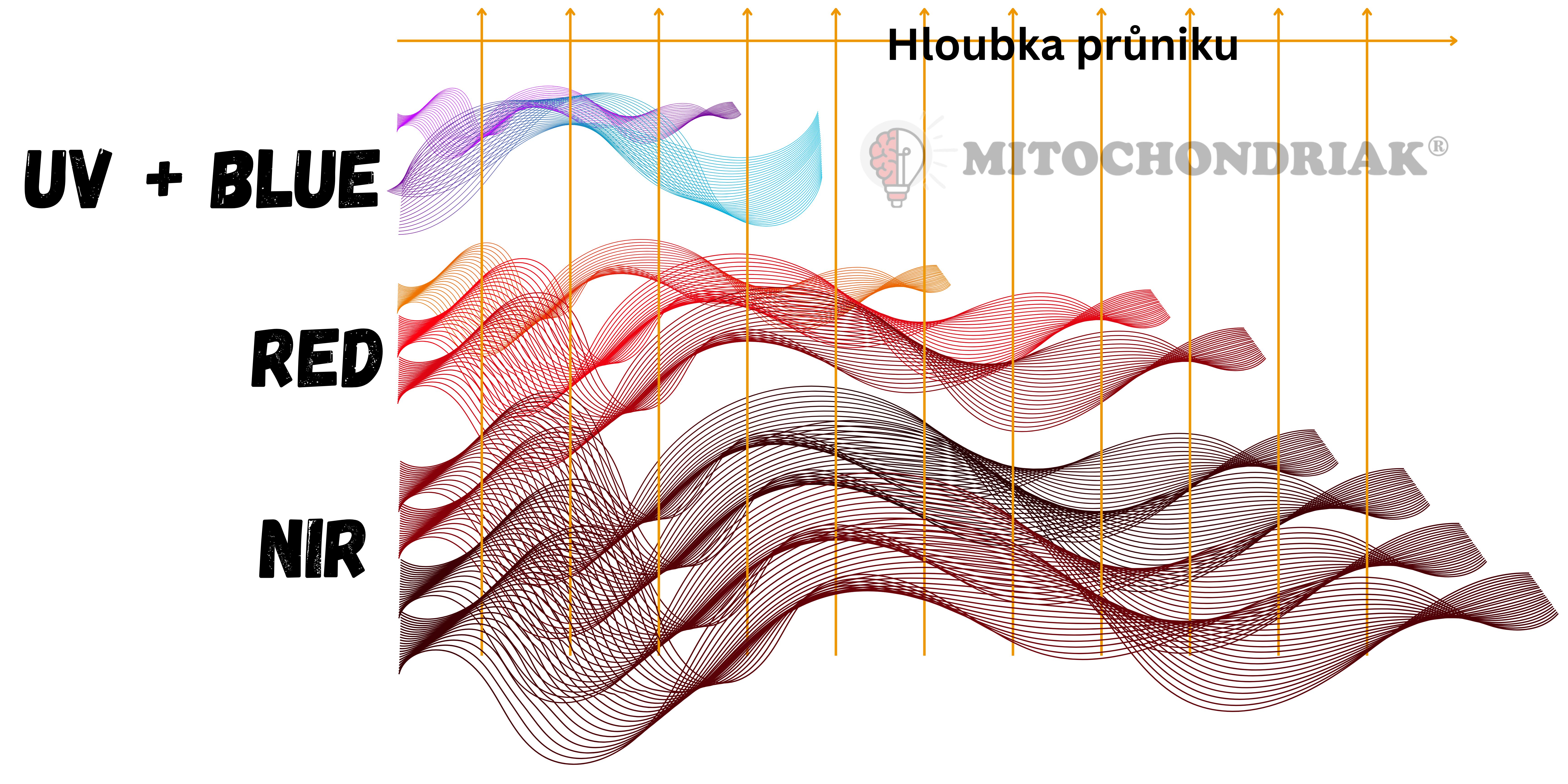 Polish_20240219_075302495